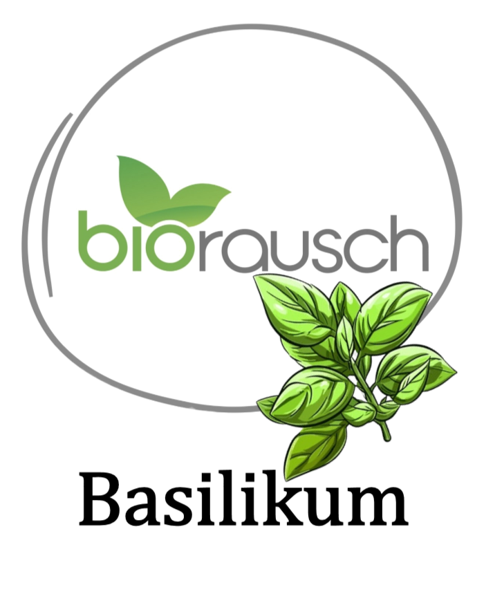 Basilikum