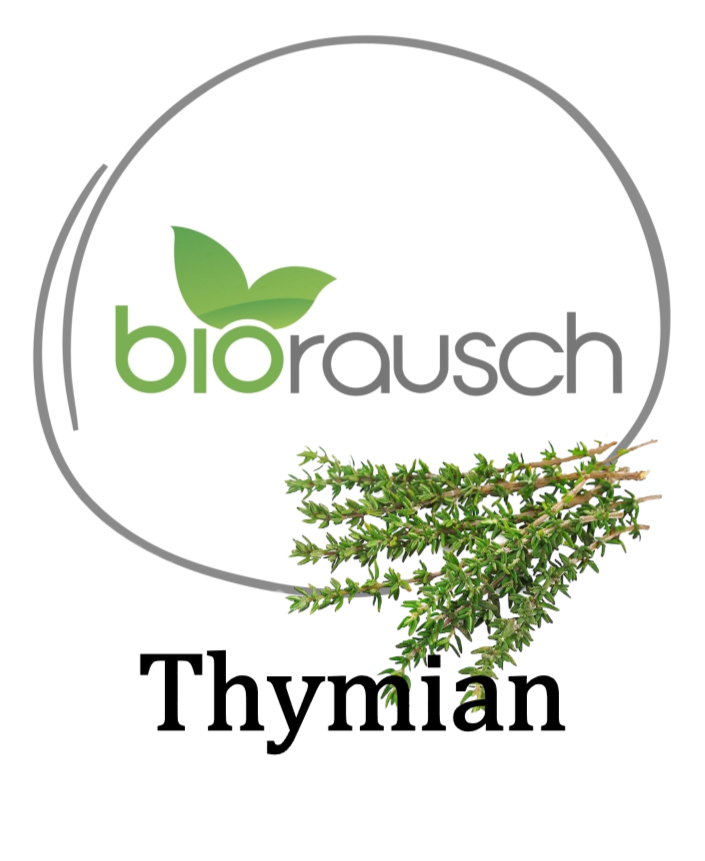 Thymian