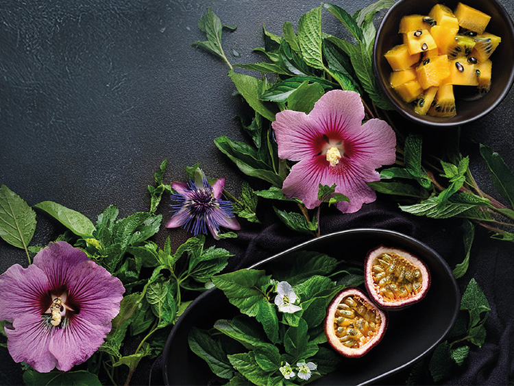 Shake it - Salatdressing - Shake it Tropical